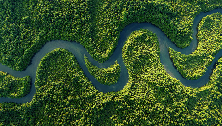 Ein Fluss aus der Vogelperspektive schlängelt sich durch einen dicht bewachsenen Wald.